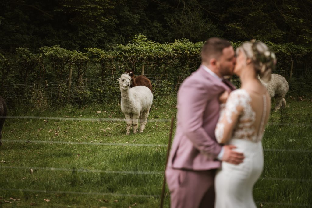 wedding photography Larchfield estate, photos. Larchfield estate, wedding portrait